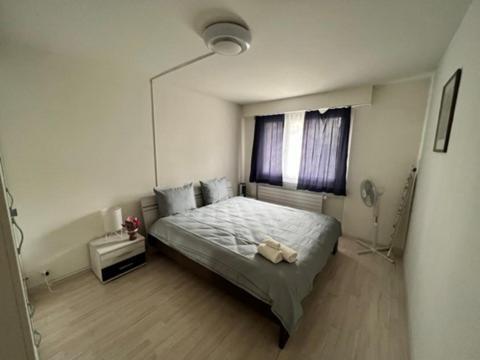 Beautiful 2.5 Room Apartment In Люцерн Экстерьер фото